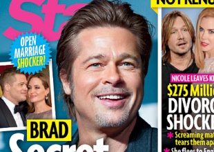 ¿Brad Pitt bisexual?