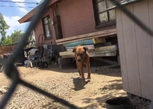 El amor puede cambiarlo todo