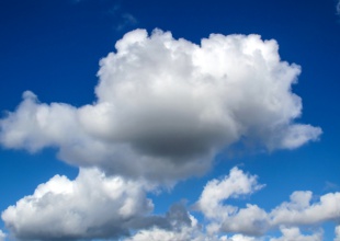 ¿Encuentras formas o caras?