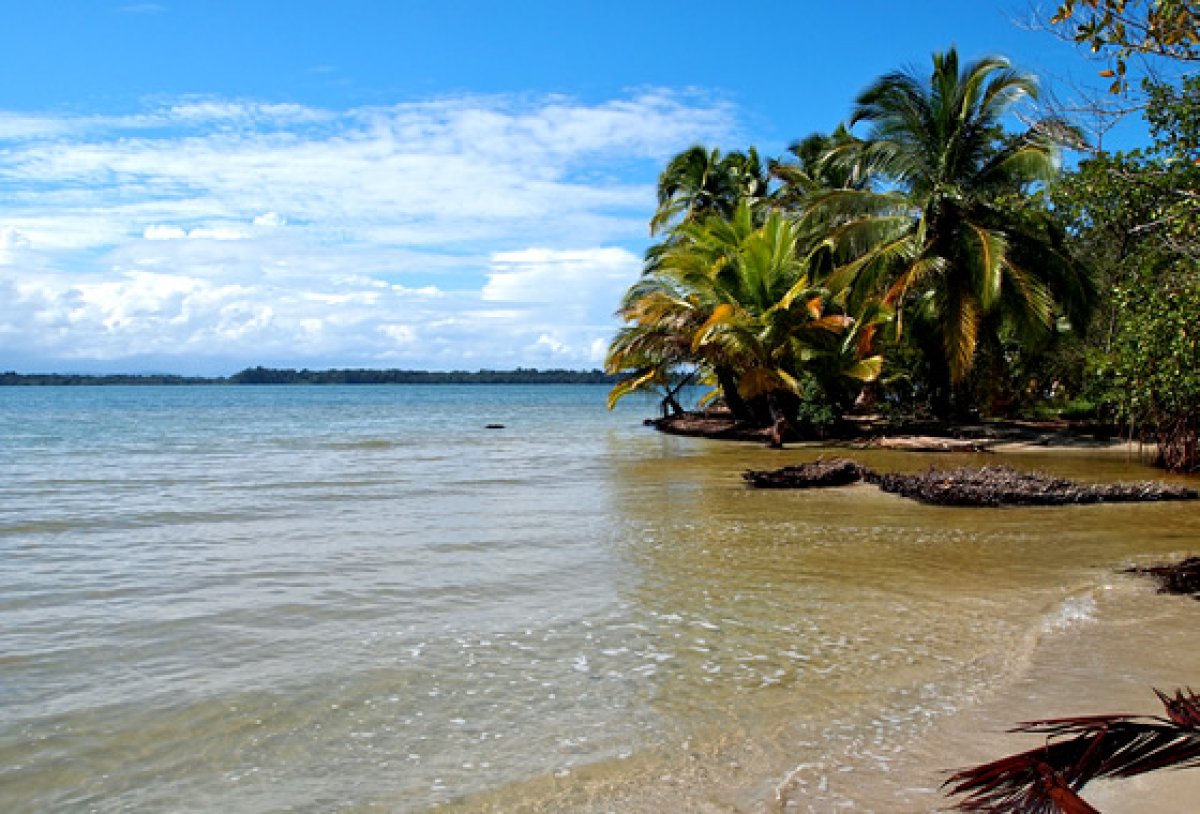 Bocas del Toro