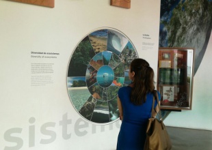 ¿Cuántos museos conoces en Panamá?