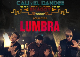 Lo nuevo de Cali y el Dandee featuring Shaggy