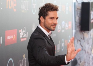 Bisbal, el favorito de muchas
