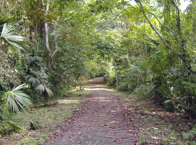 Parques en Panamá