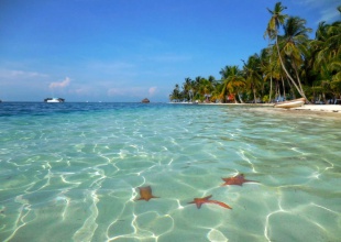 ¡La Magia de San Blas!