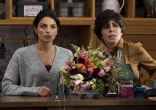 Así suena La Casa de las Flores