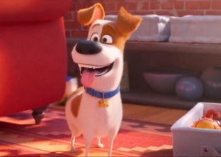 ¡Las mascotas que hablan están de regreso!