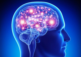 Hoy es el Día Púrpura