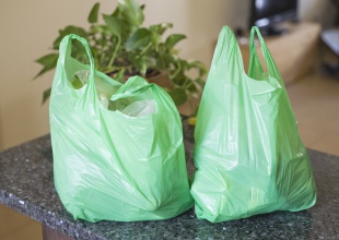 No más bolsas plásticas