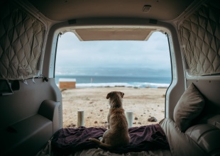 Meher llegó a su hogar