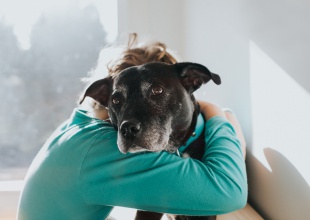 ¡Feliz Día del Perro!