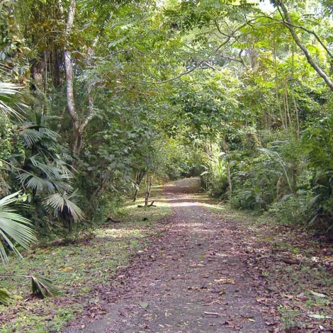 Parques o áreas protegidas que puedes visitar