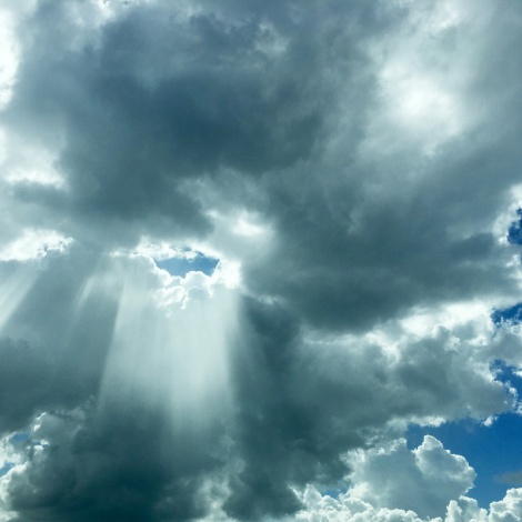 Top10: Si pudiera reencarnaría en