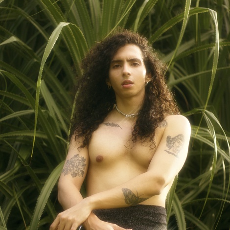 Alessi Torres nuevo tema musical"Noche Salvaje"