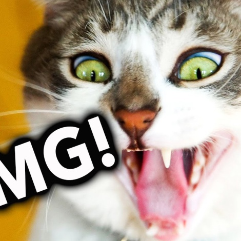 Top10: No nos sorprende